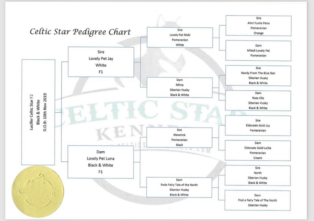 Pedigree Sample #4